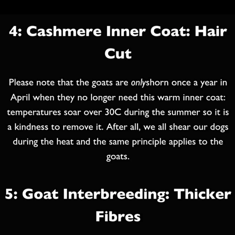 mika and milo cashmere ply