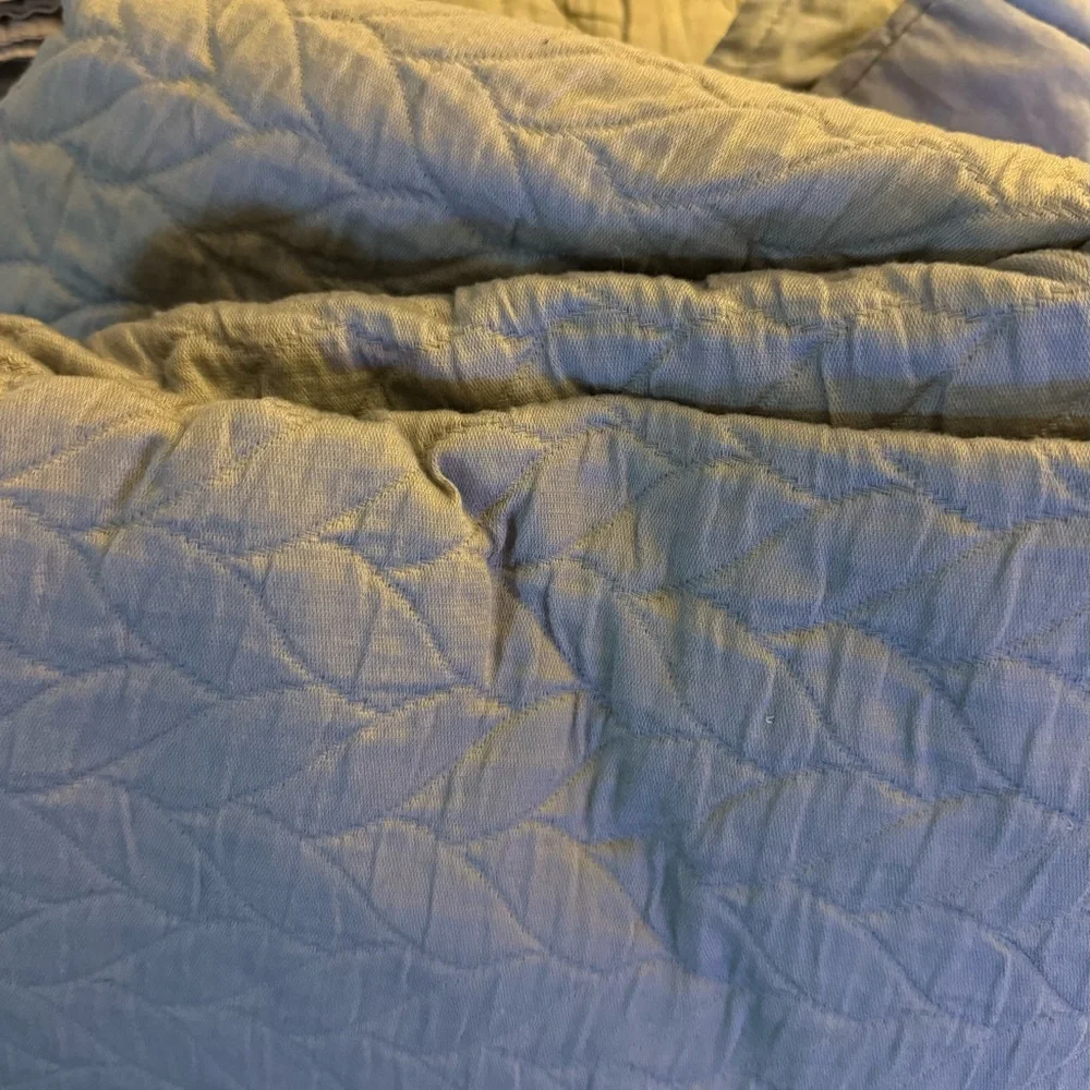 West Elm organic cotton