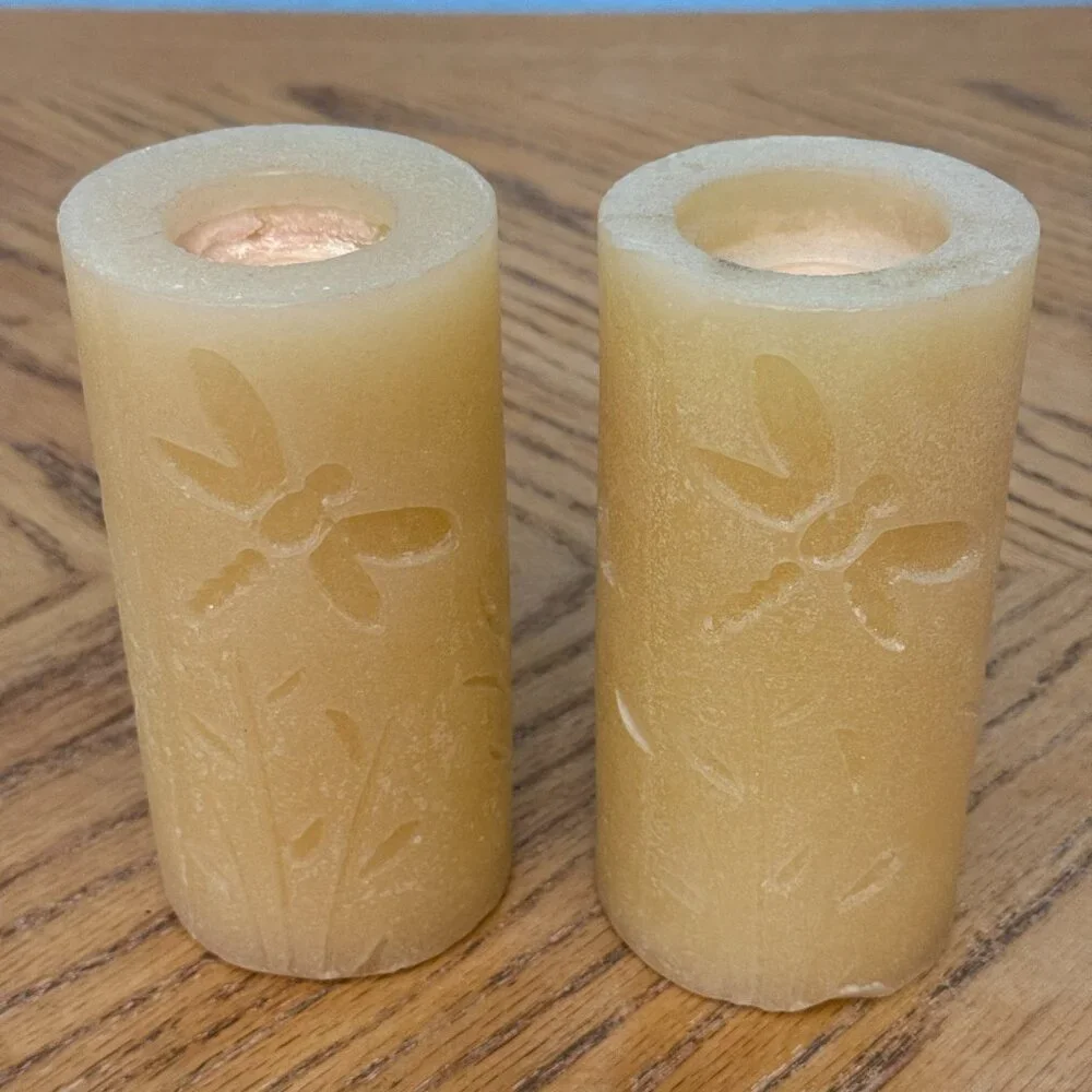 Set of 2 Pier 1 Imports Dragonfly Floral Etched Decorative Pillar Candles