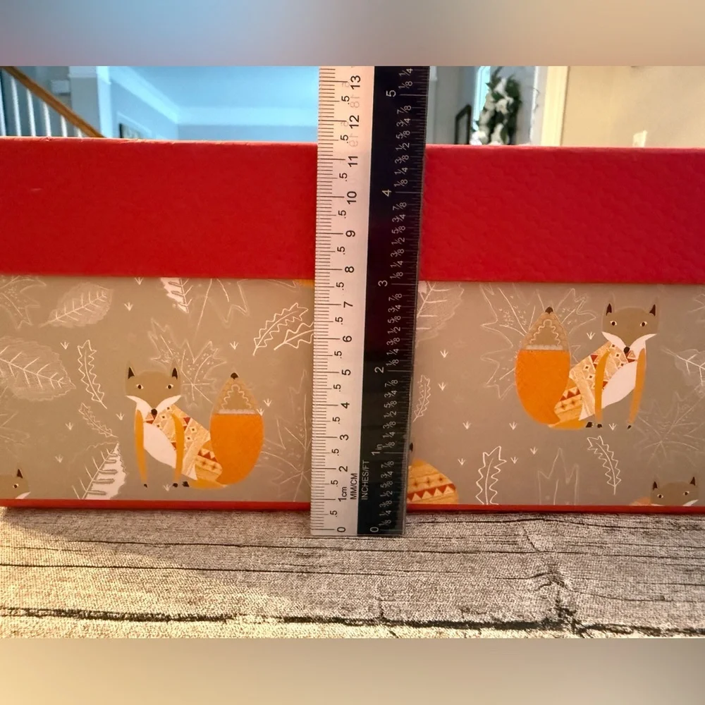 Set of 2 decorative storage boxes. Super cute!