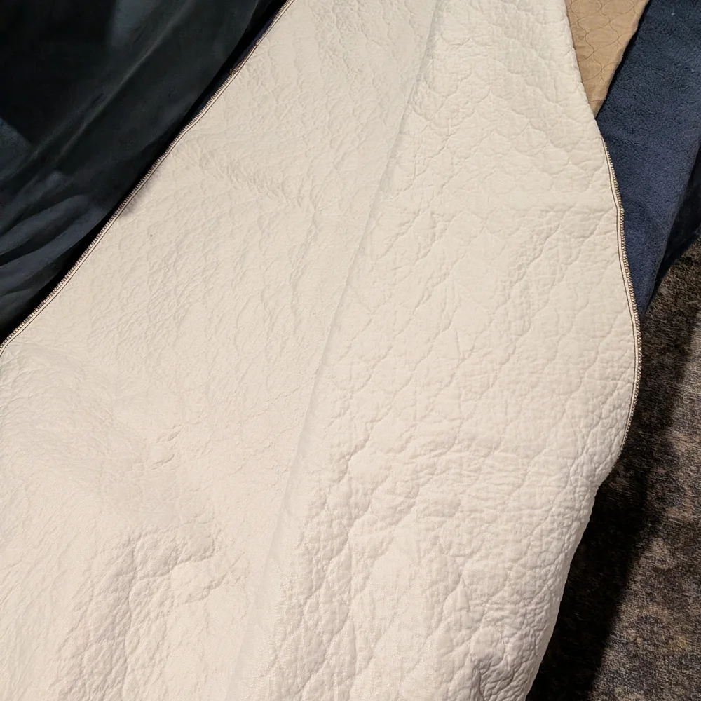 ez whelp cozy soft