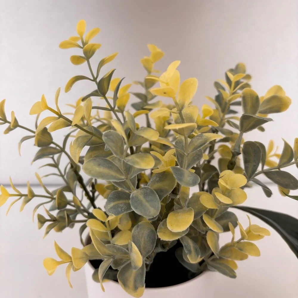 Threshold faux potted