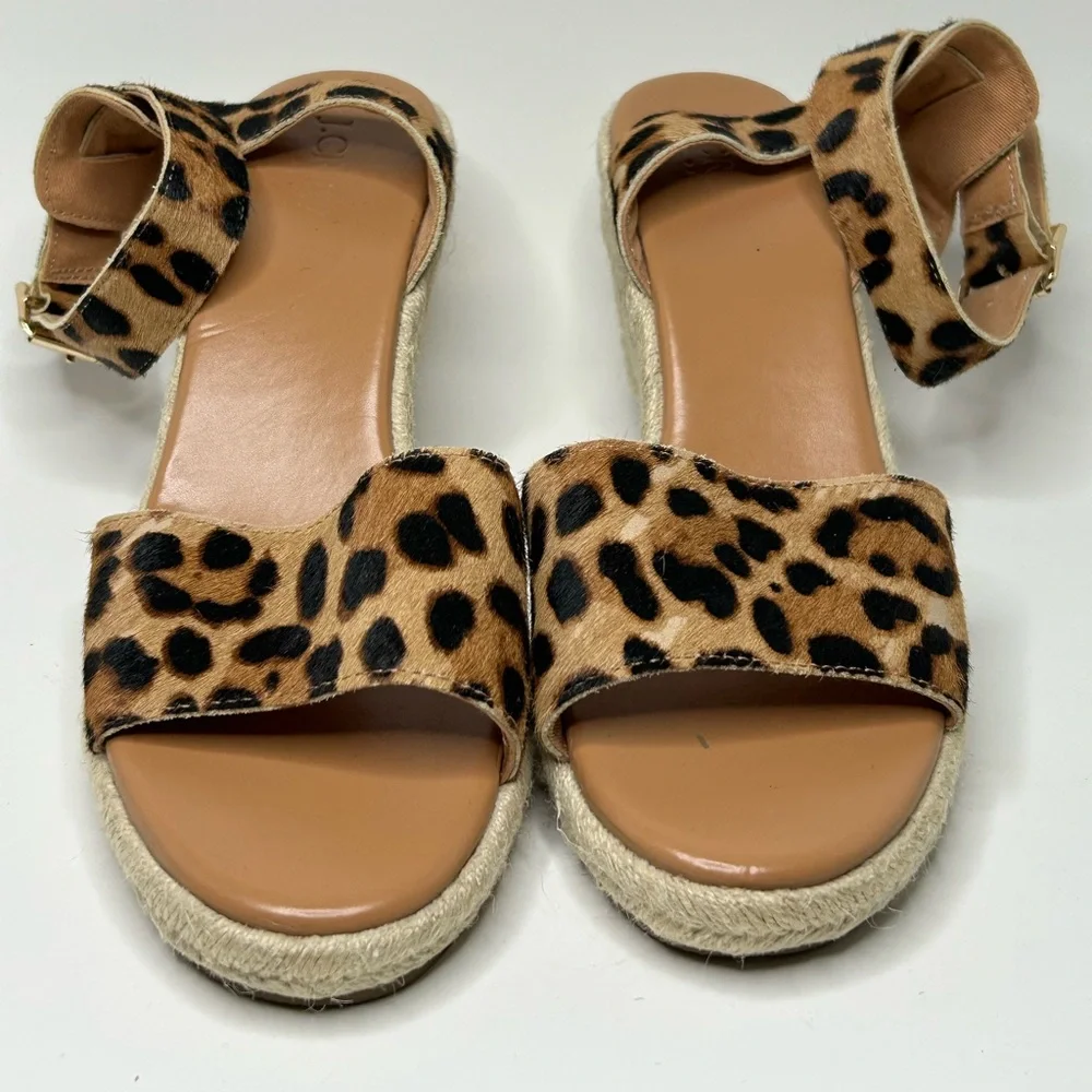 J. Crew crew size