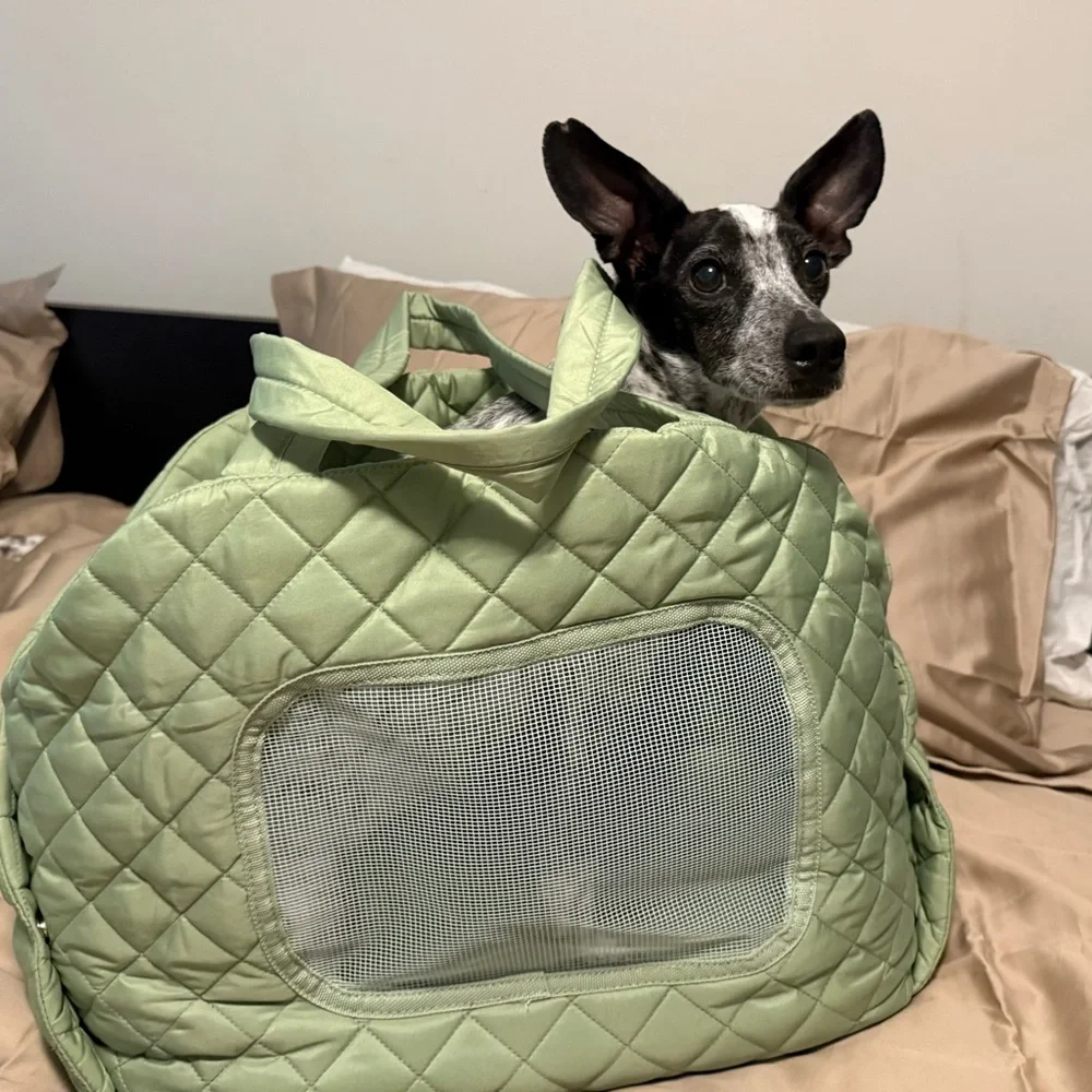 Quilted Green Dog Carrier