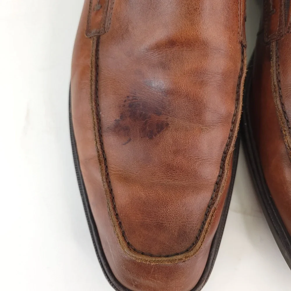 Ecco men shock