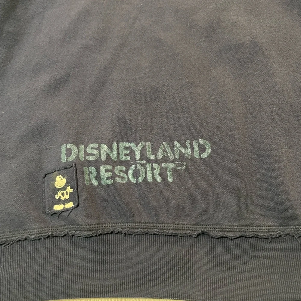 Disney parks authentic