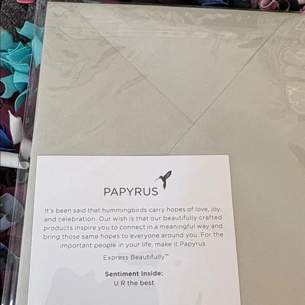 Papyrus nib sealed