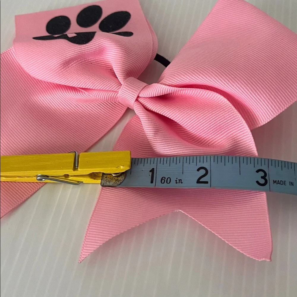 Varsity pink cheer