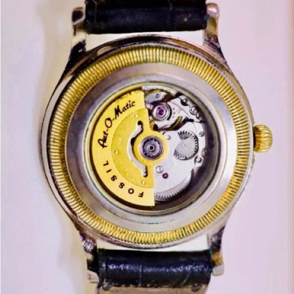 Fossil discover timeless