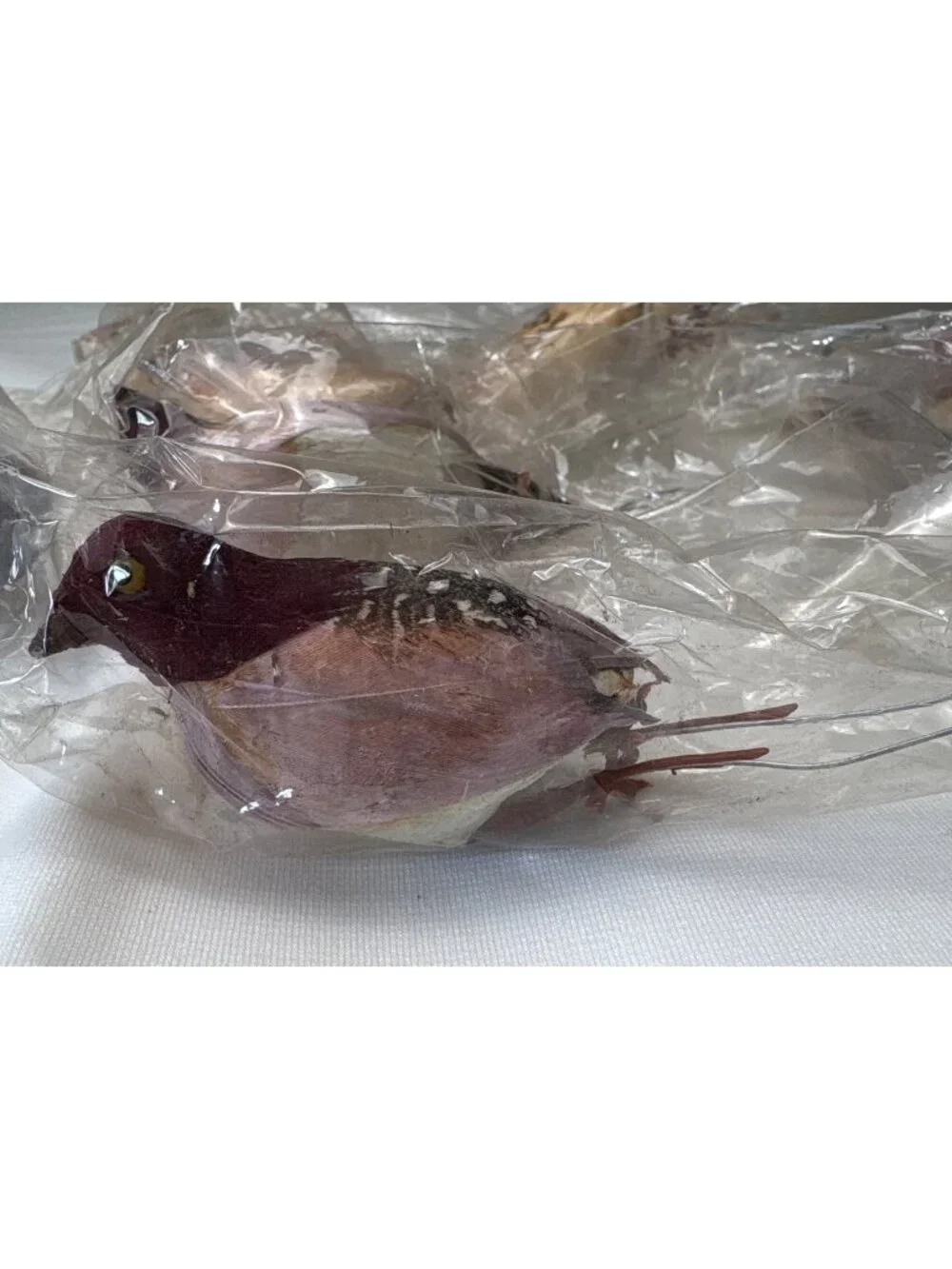 Vintage Feathered Birds Set of 12 Hong Kong 3