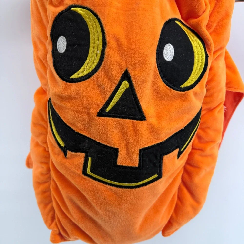 SimplyDog adorable pumpkin