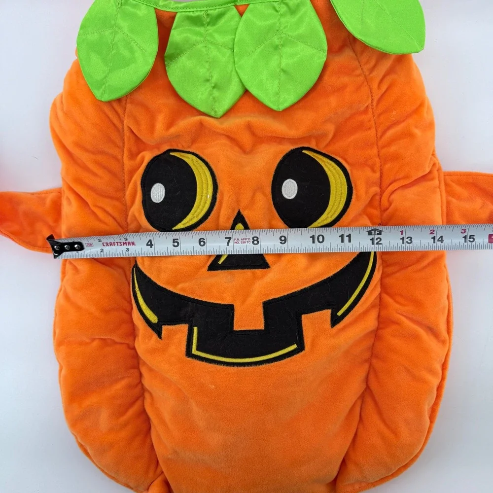 SimplyDog adorable pumpkin