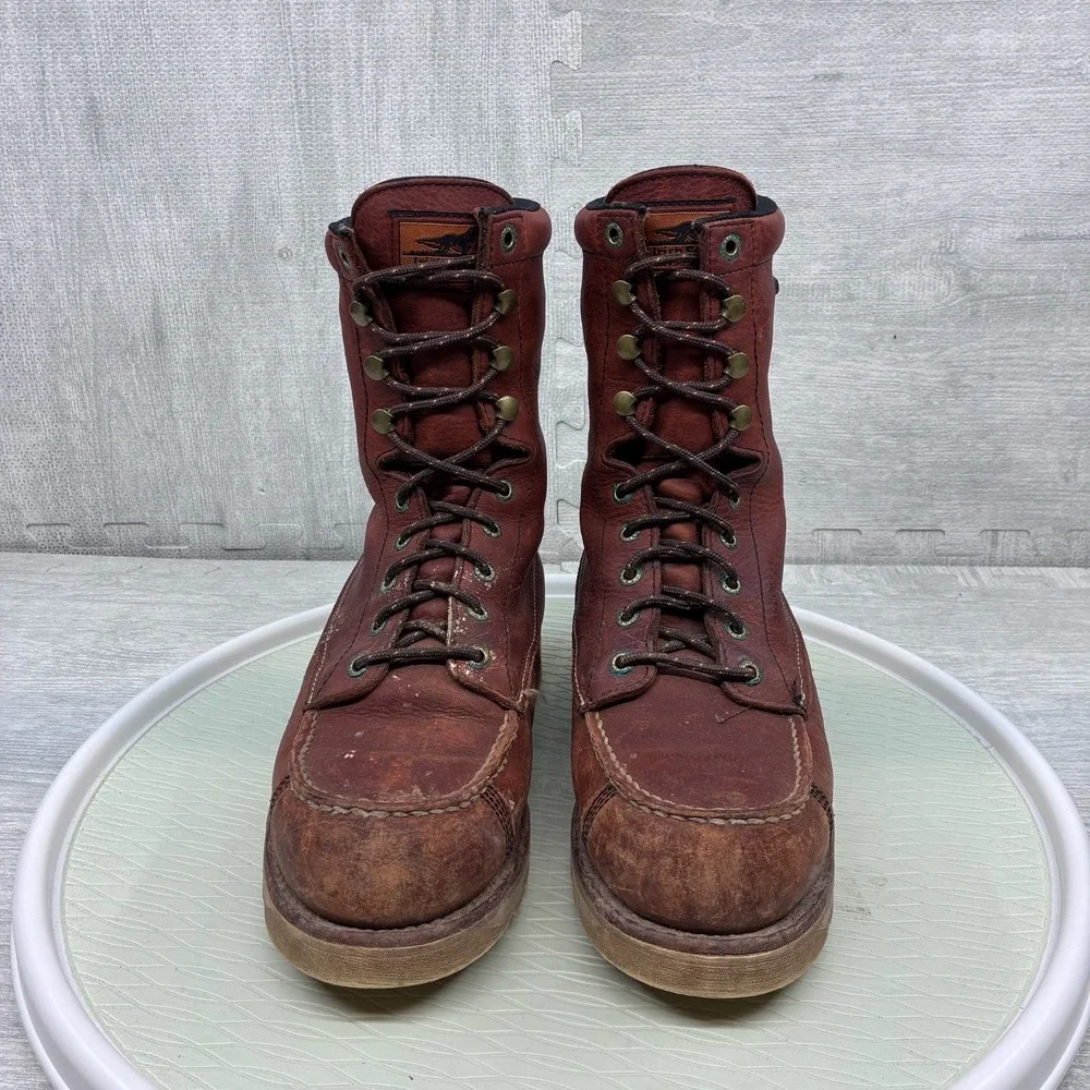 Irish Setter good preowned