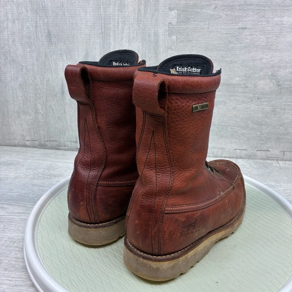 Irish Setter good preowned