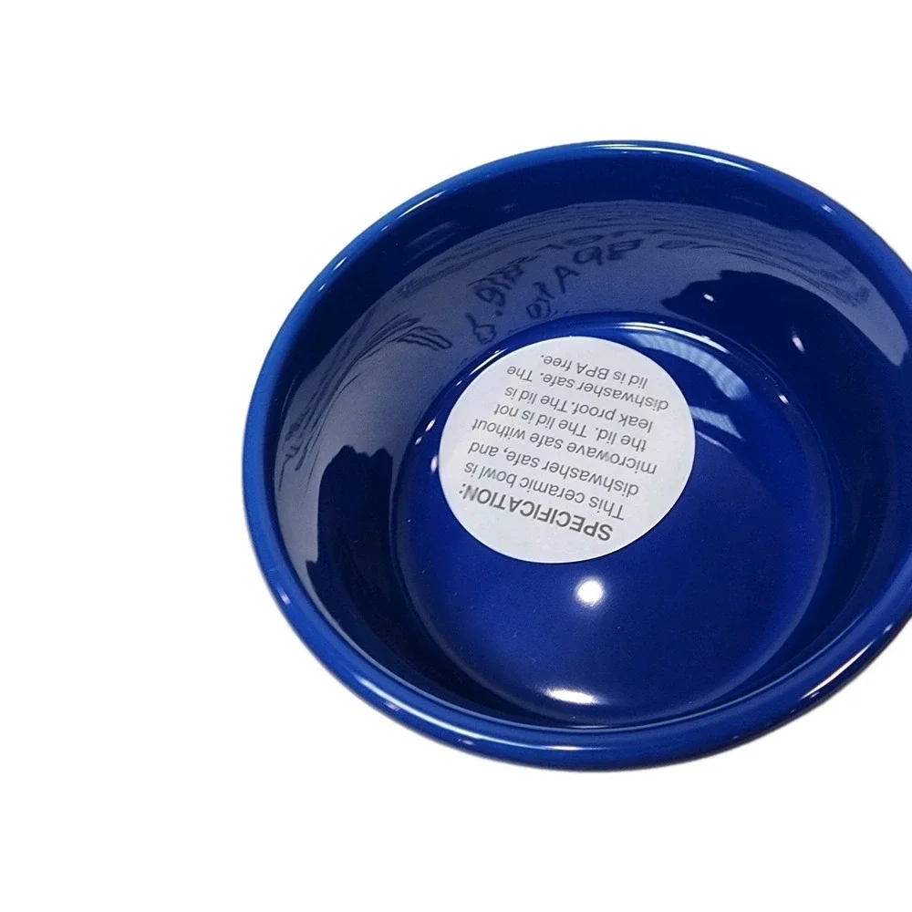 Room Essentials new blue
