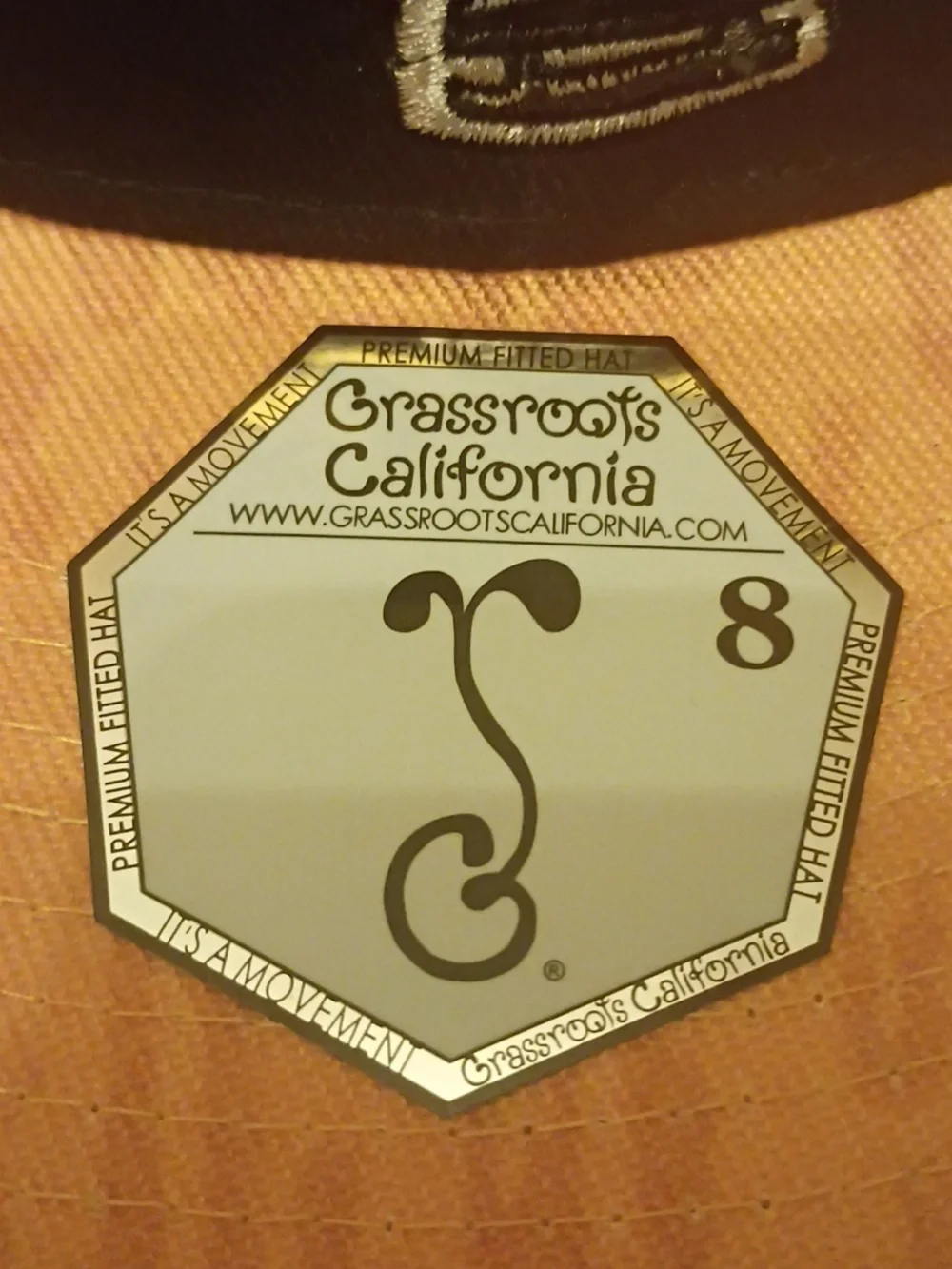 Grassroots California wave that