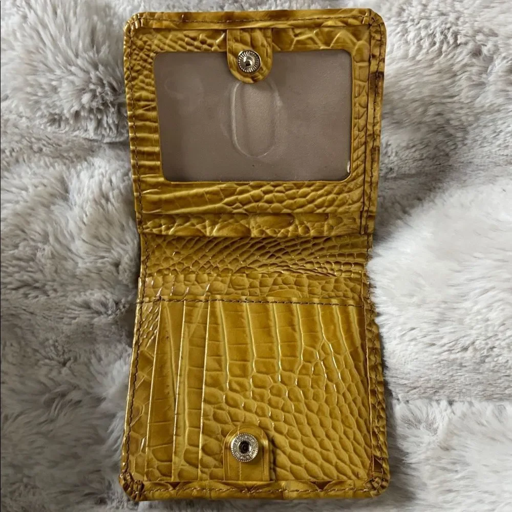 Brahmin like new