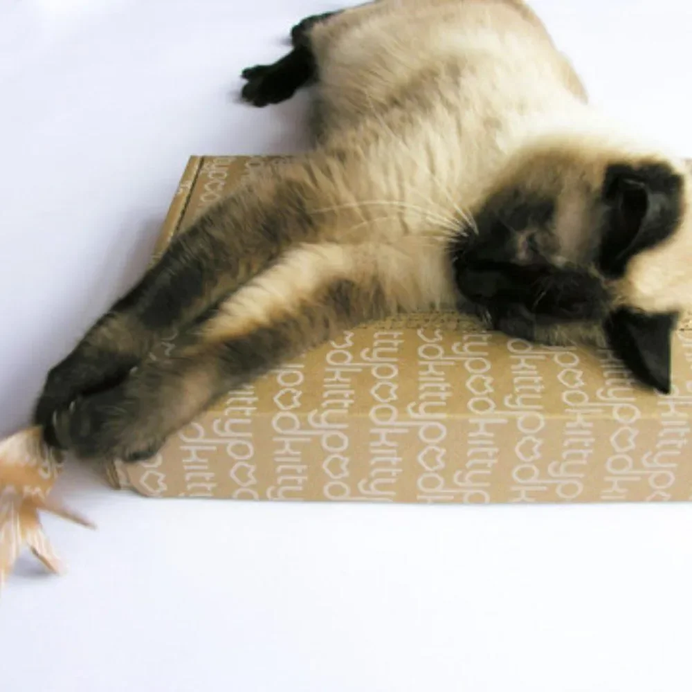 Kittypod cardboard cat