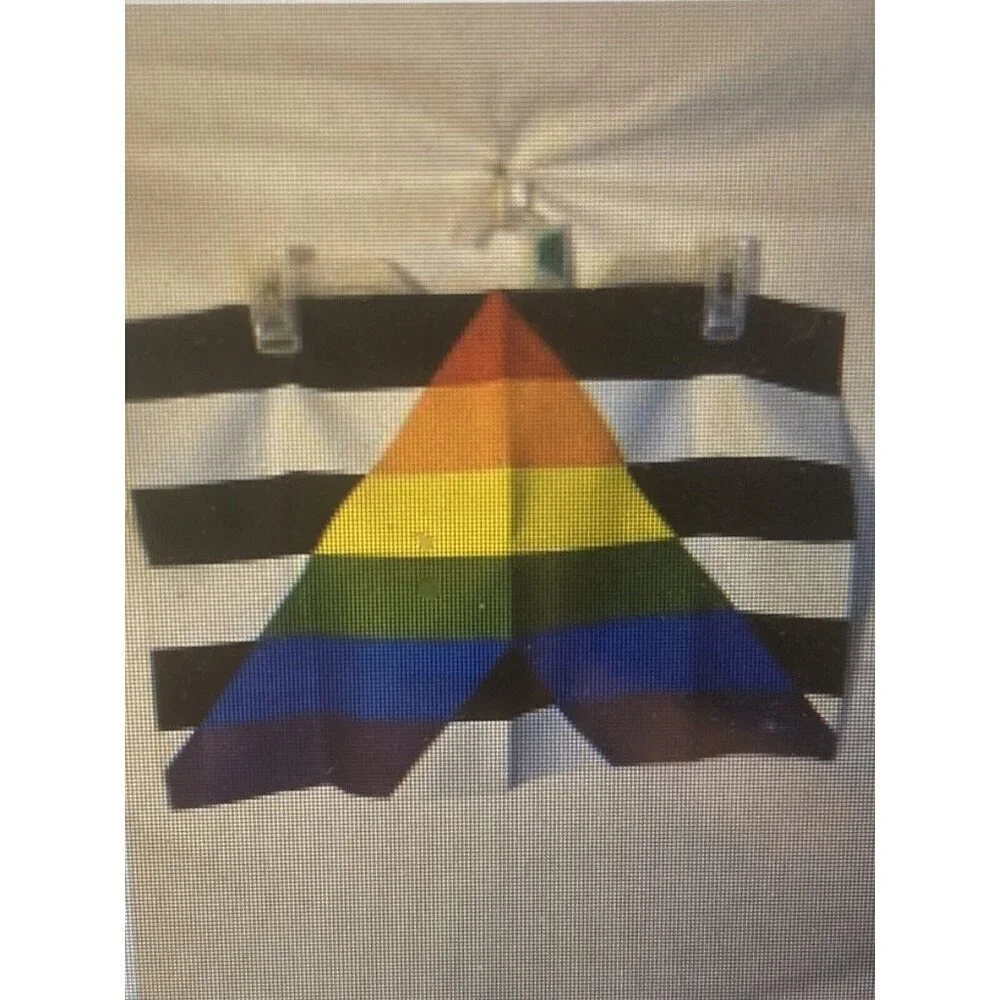 Gay Straight Alliance Flag small GSA Rainbow Pride Gay Lesbian LGBT Gender‎