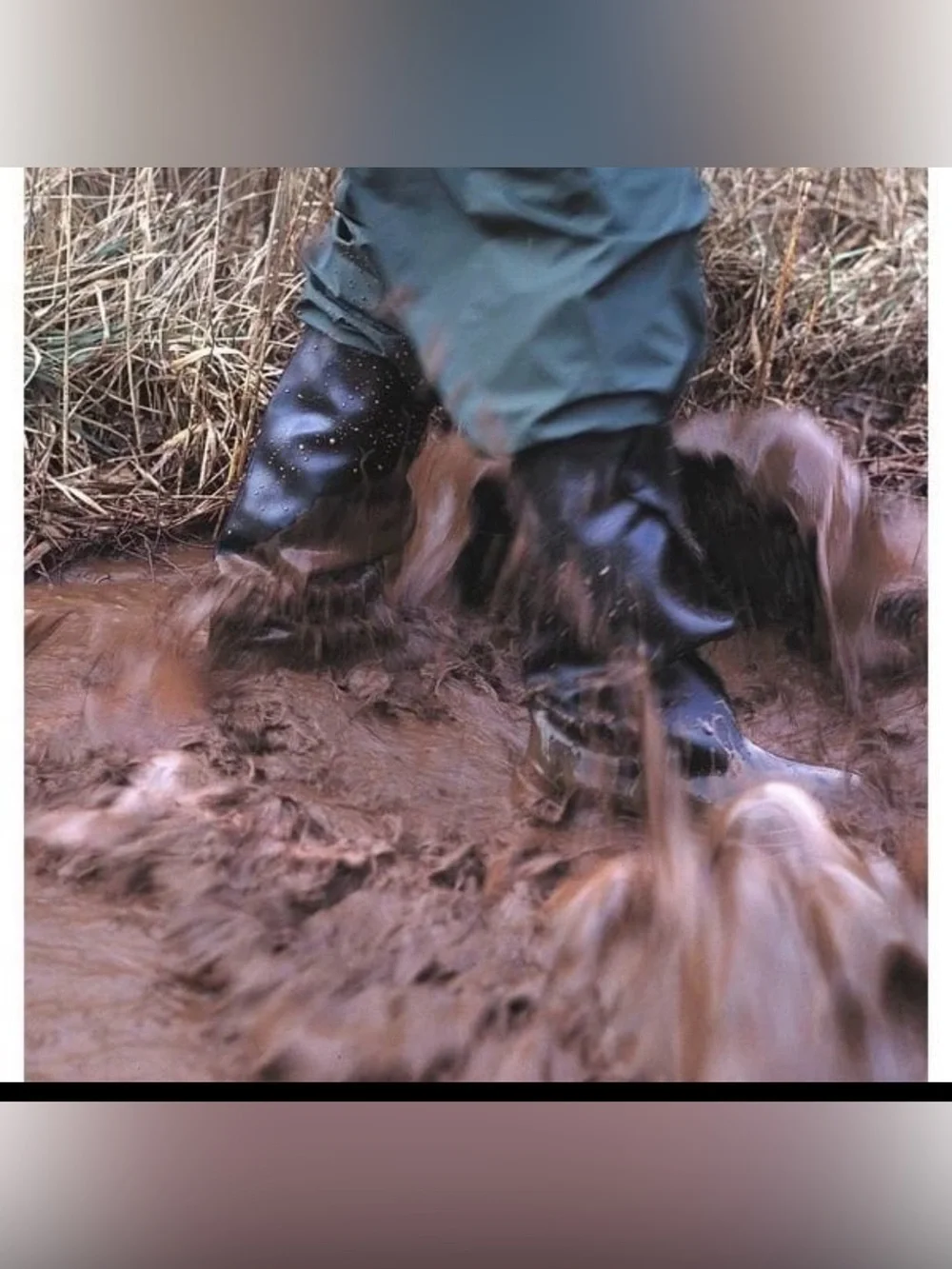 Tingley rubber overshoes