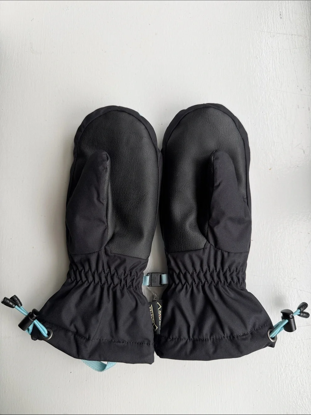 The North Face insulated mittens