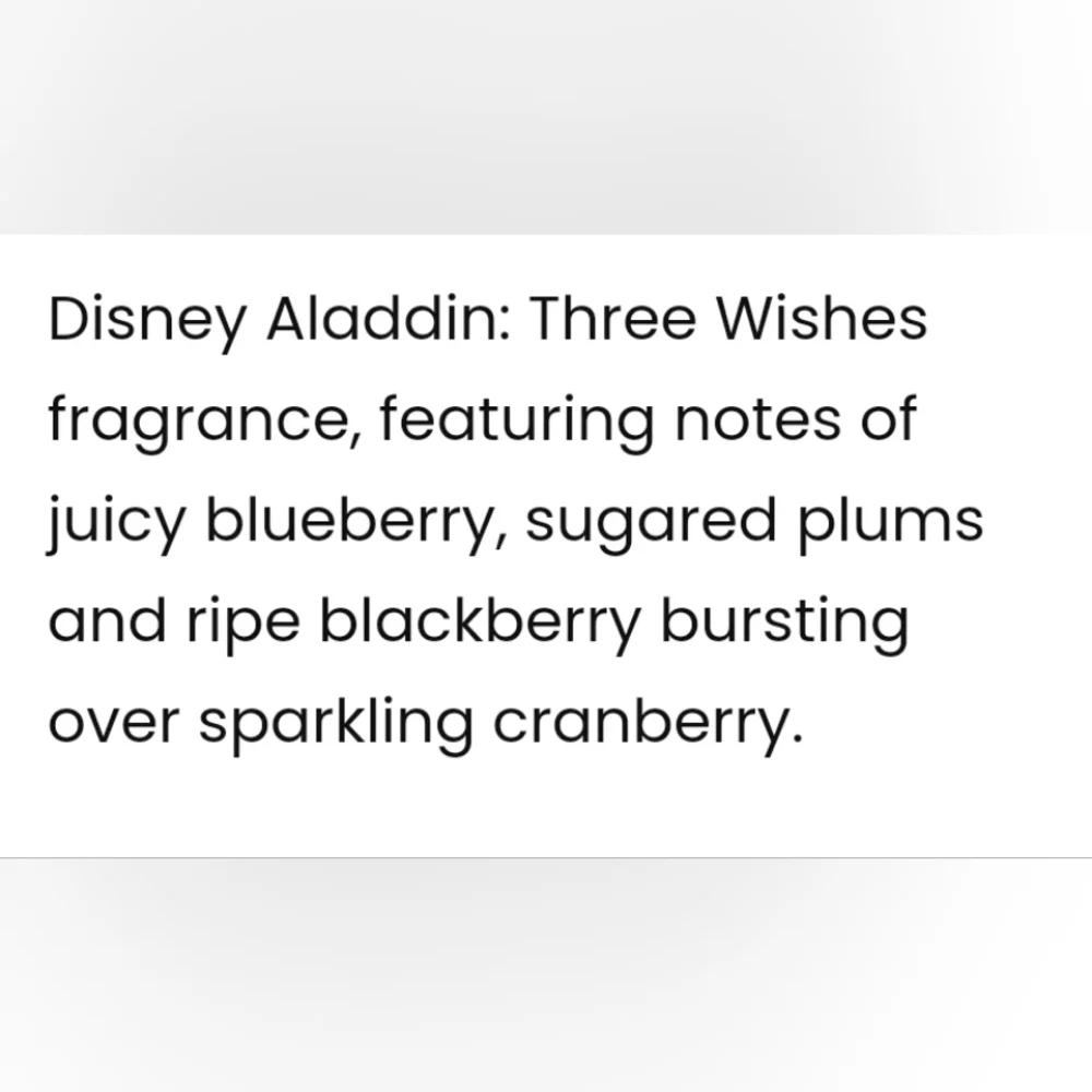 Disney experience enchantment
