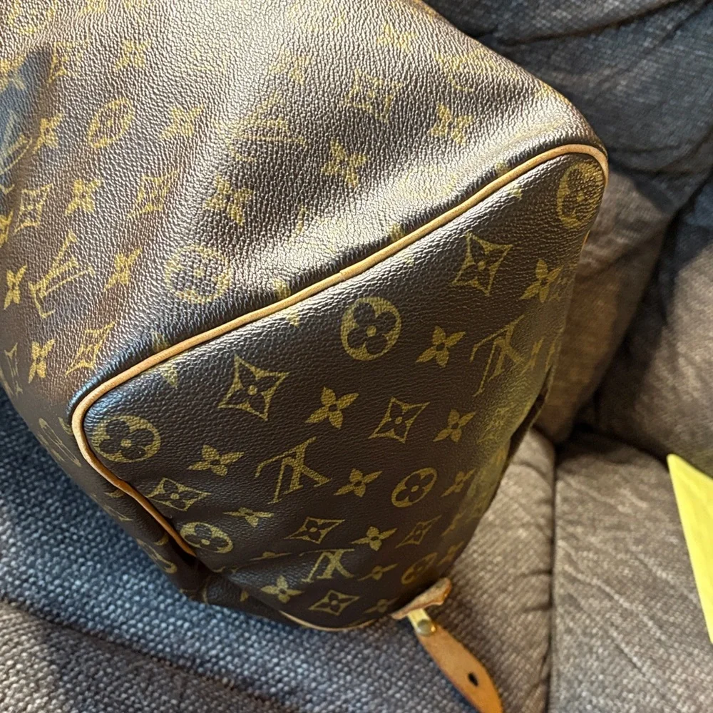 Louis Vuitton iconic louis