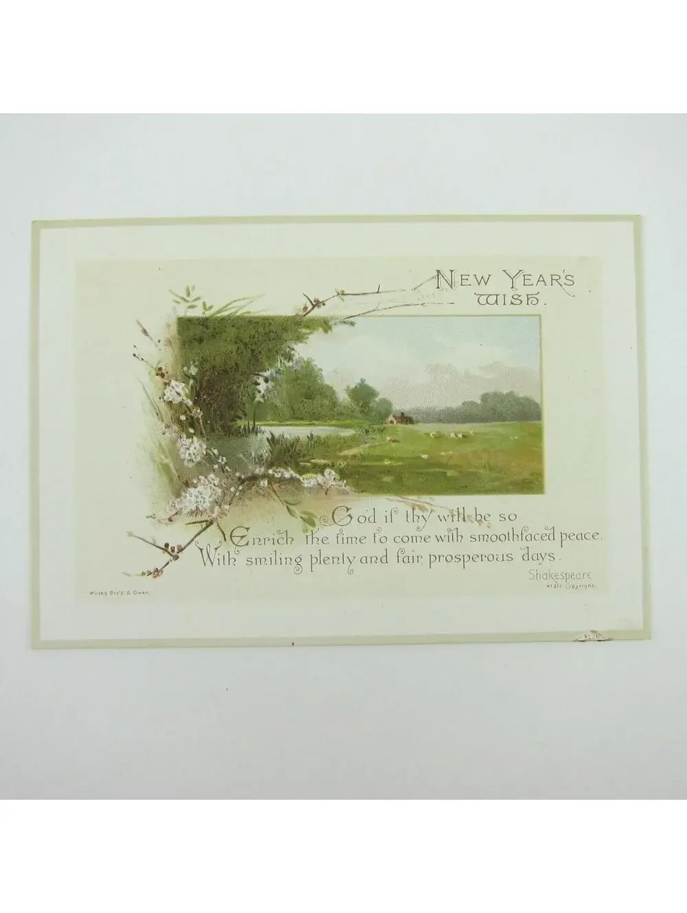 N/A years owen nice