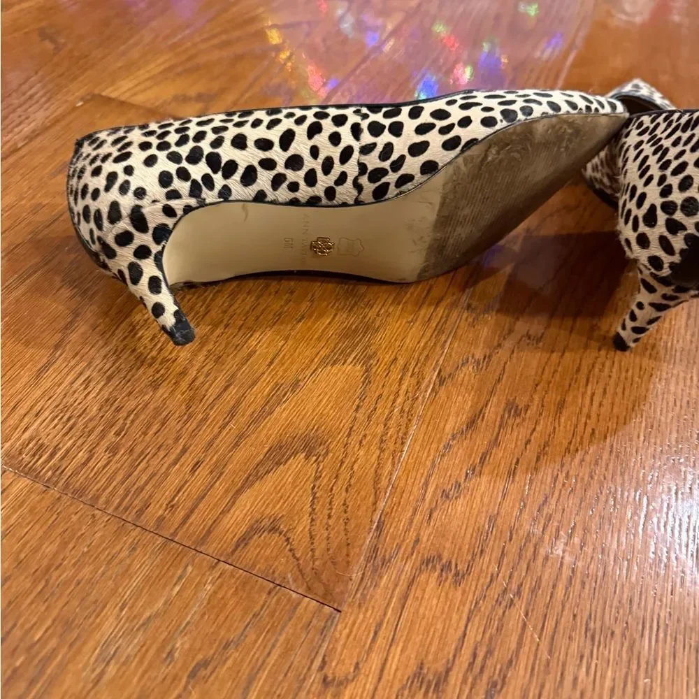 Ann Taylor stylish leopard
