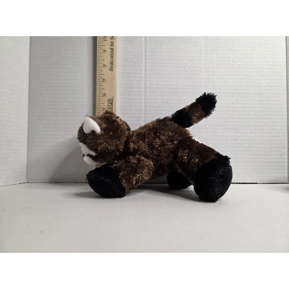 Aurora brown raccoon
