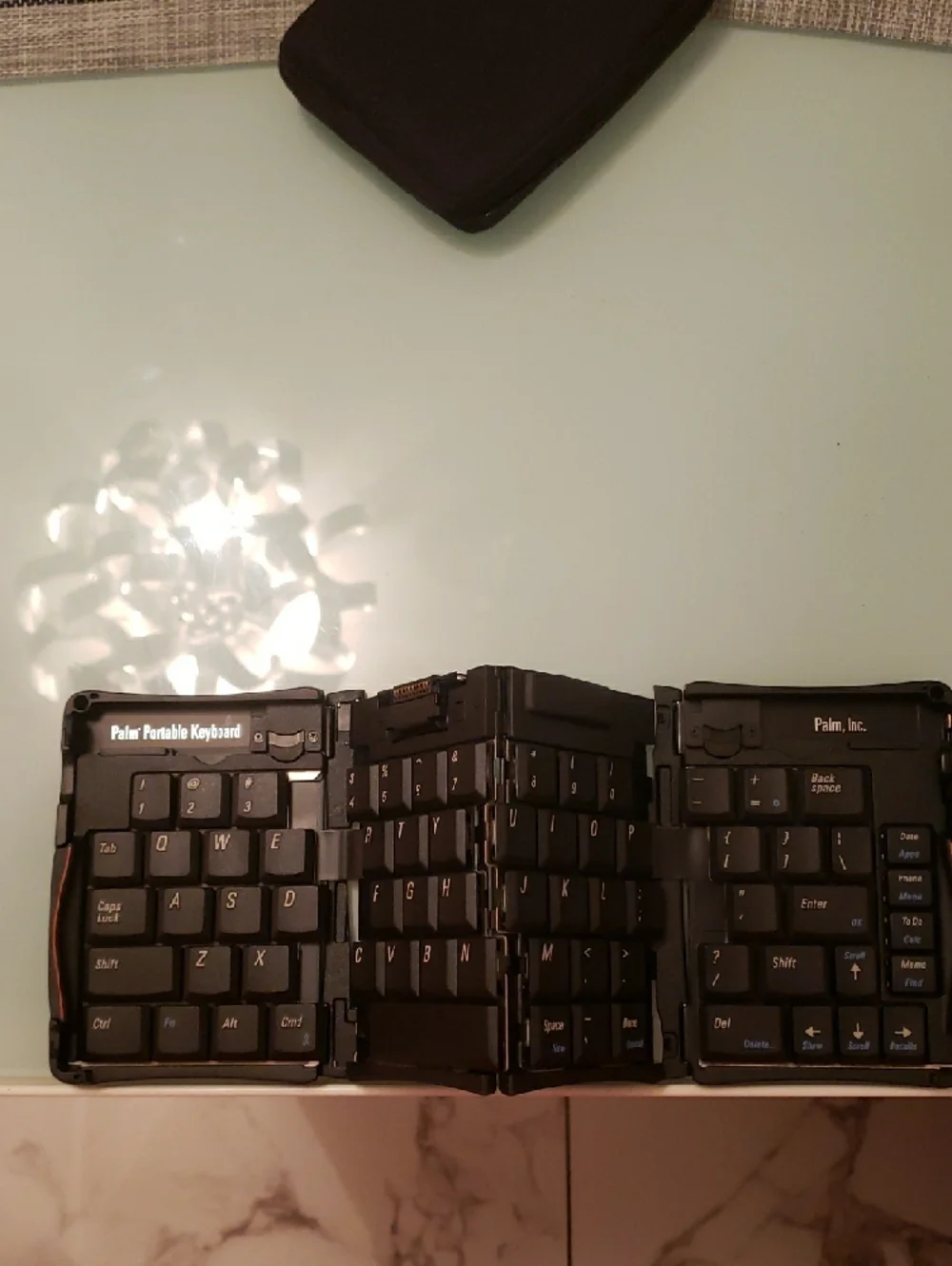 N/A palm company