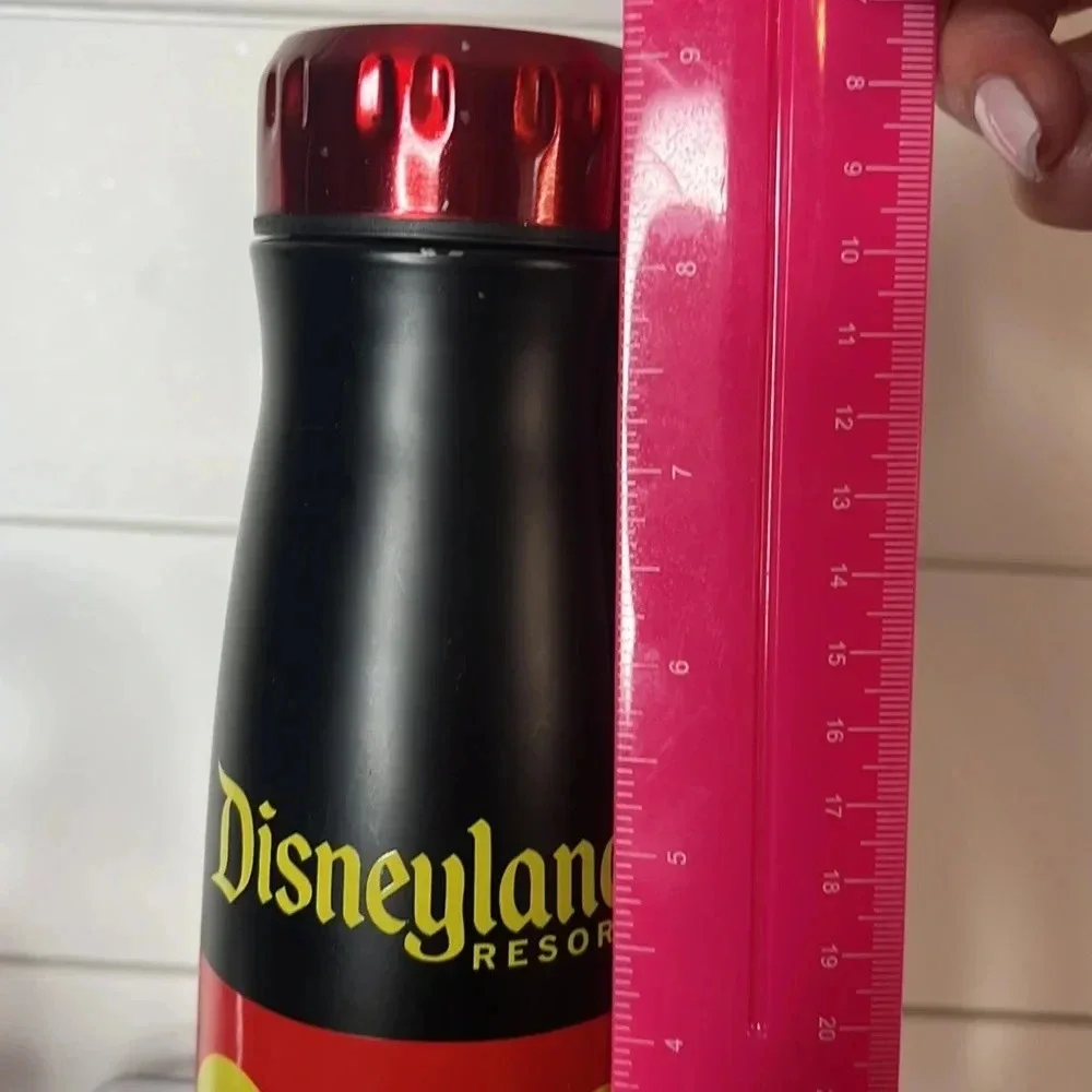 N/A disneyland resorts