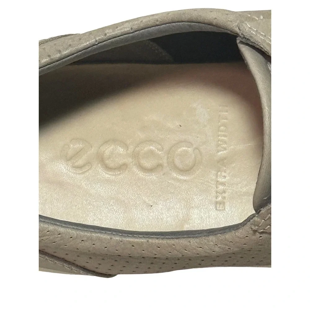 Ecco discover effortless