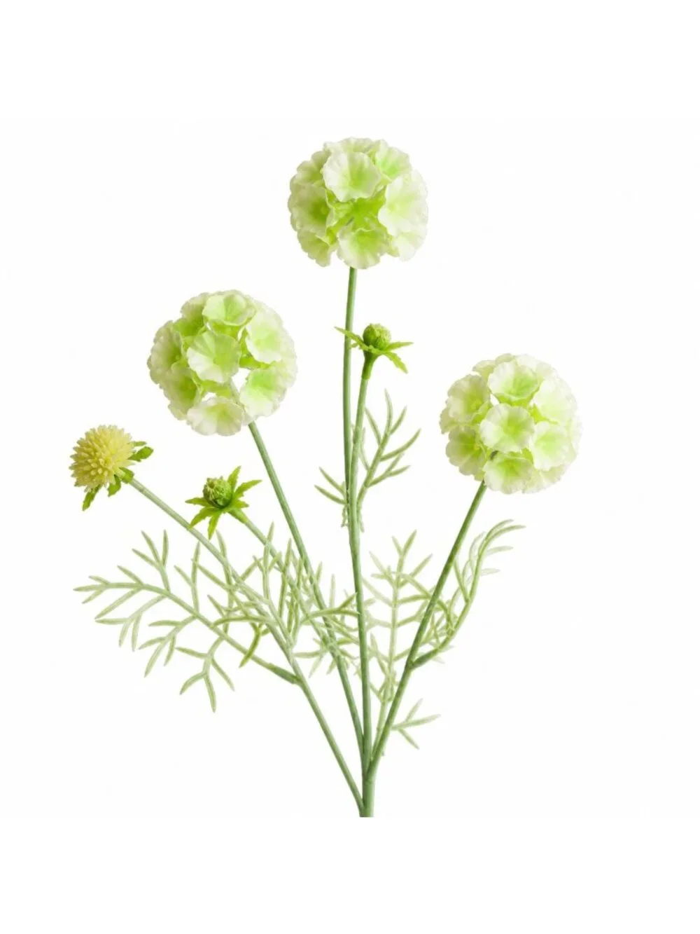 Scabiosa Flower Stems Green White Artificial Floral Filler