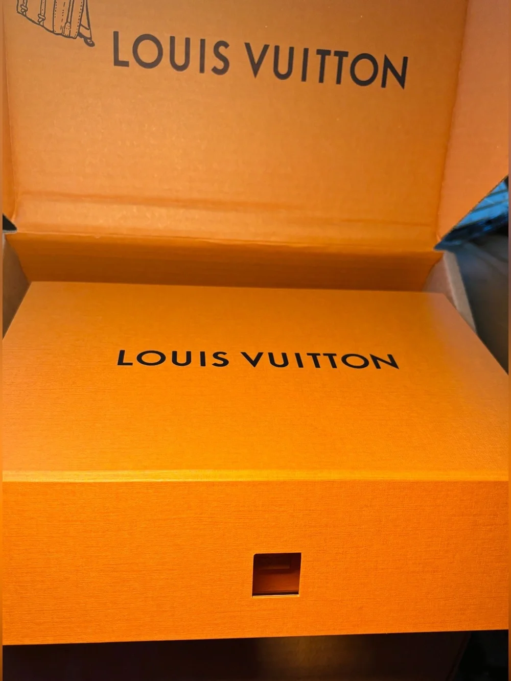 Louis Vuitton iconic luxury