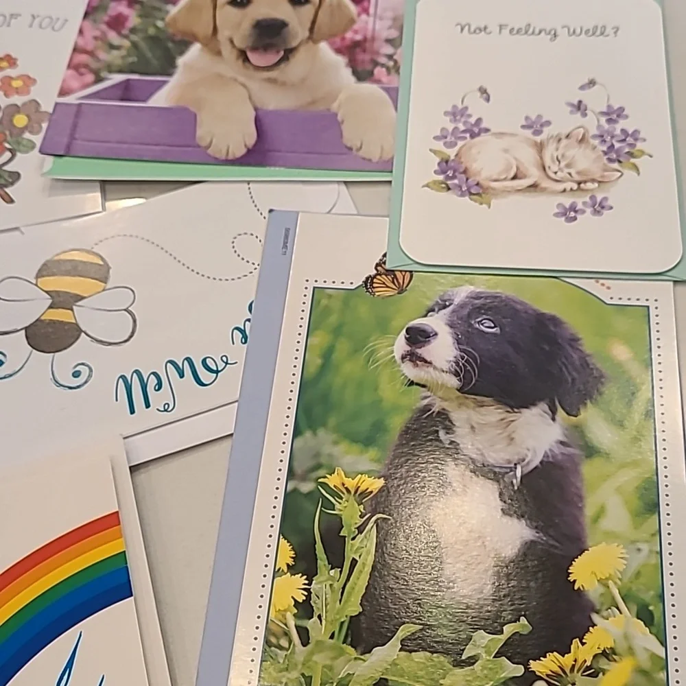 Bundle of 14 Greeting Cards