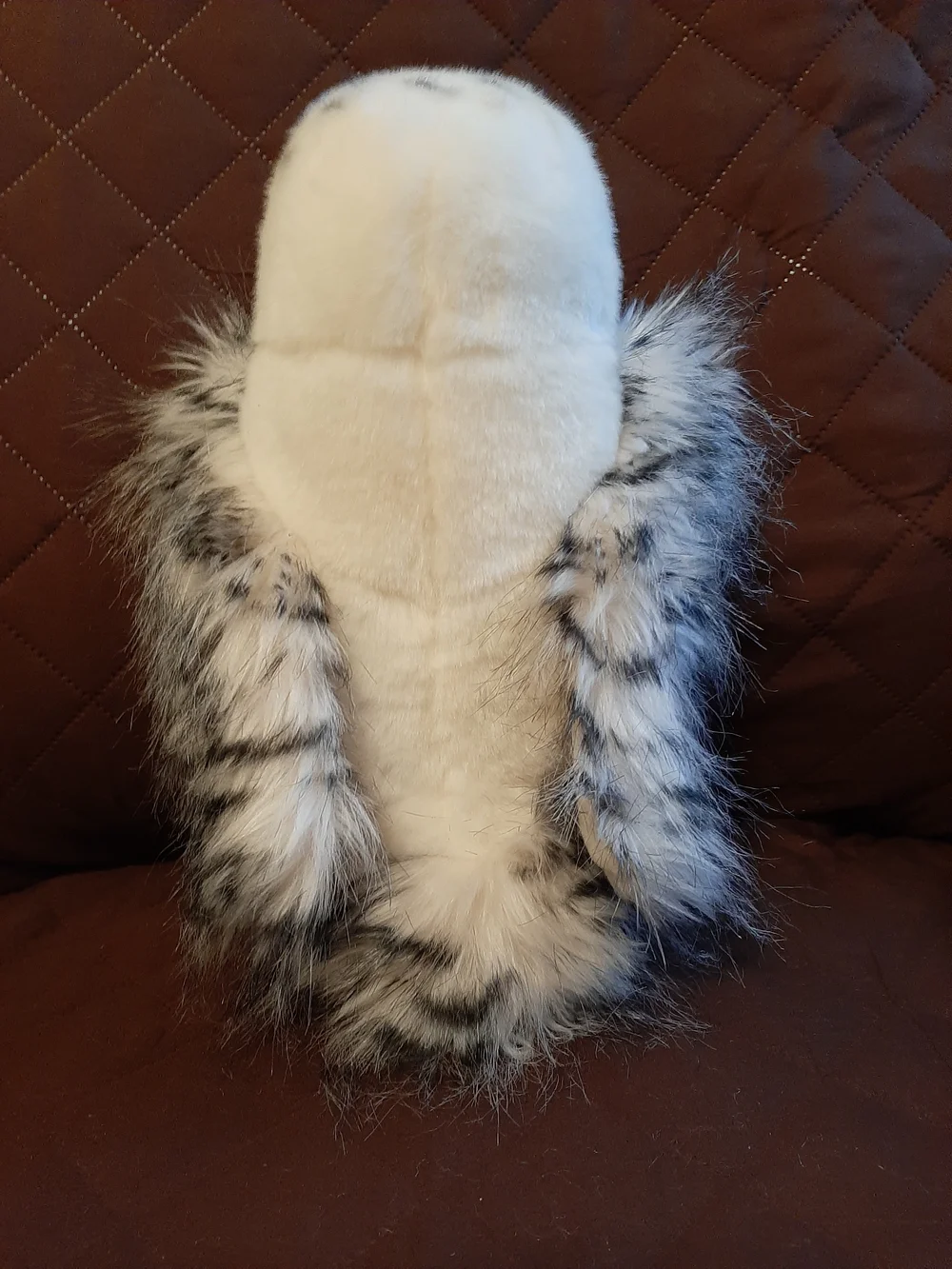 Douglas soft white