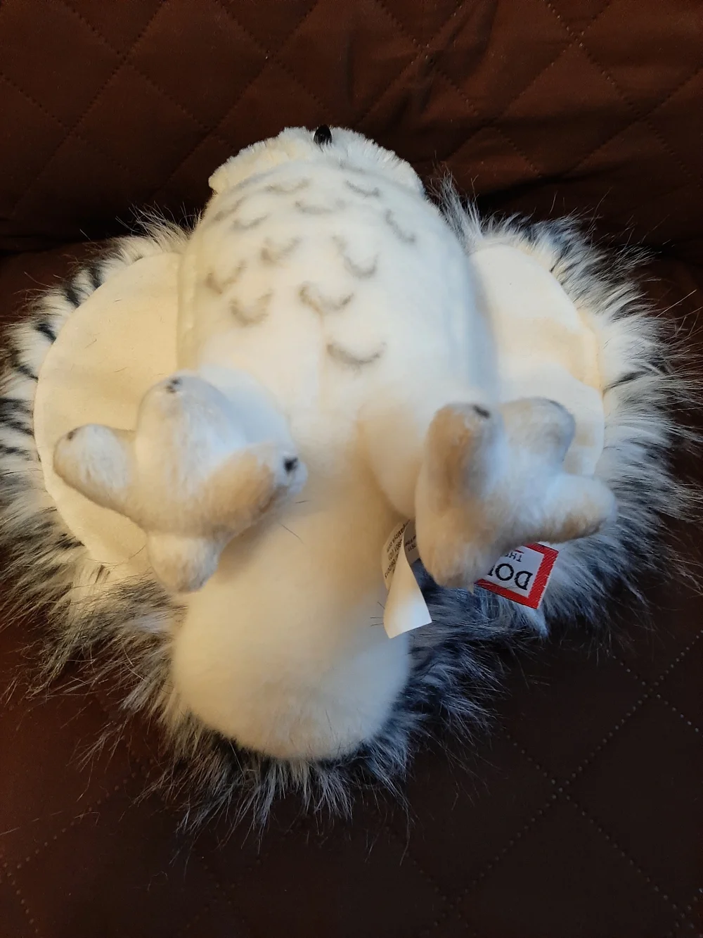 Douglas soft white