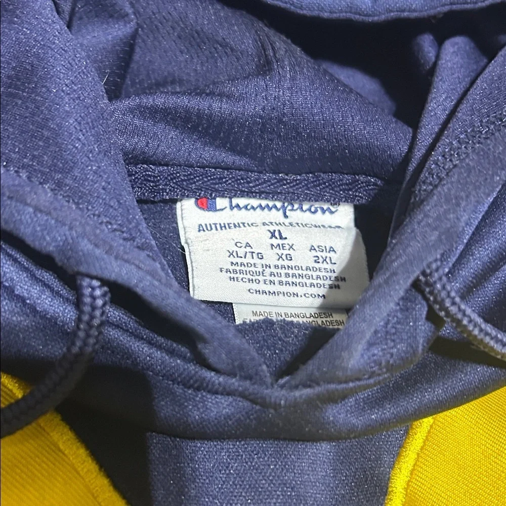 Champion university michigan