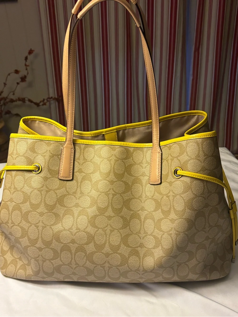 Coach signature canvas
