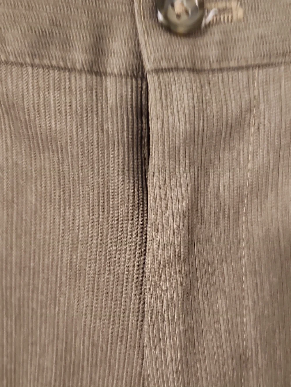 Izod classic men
