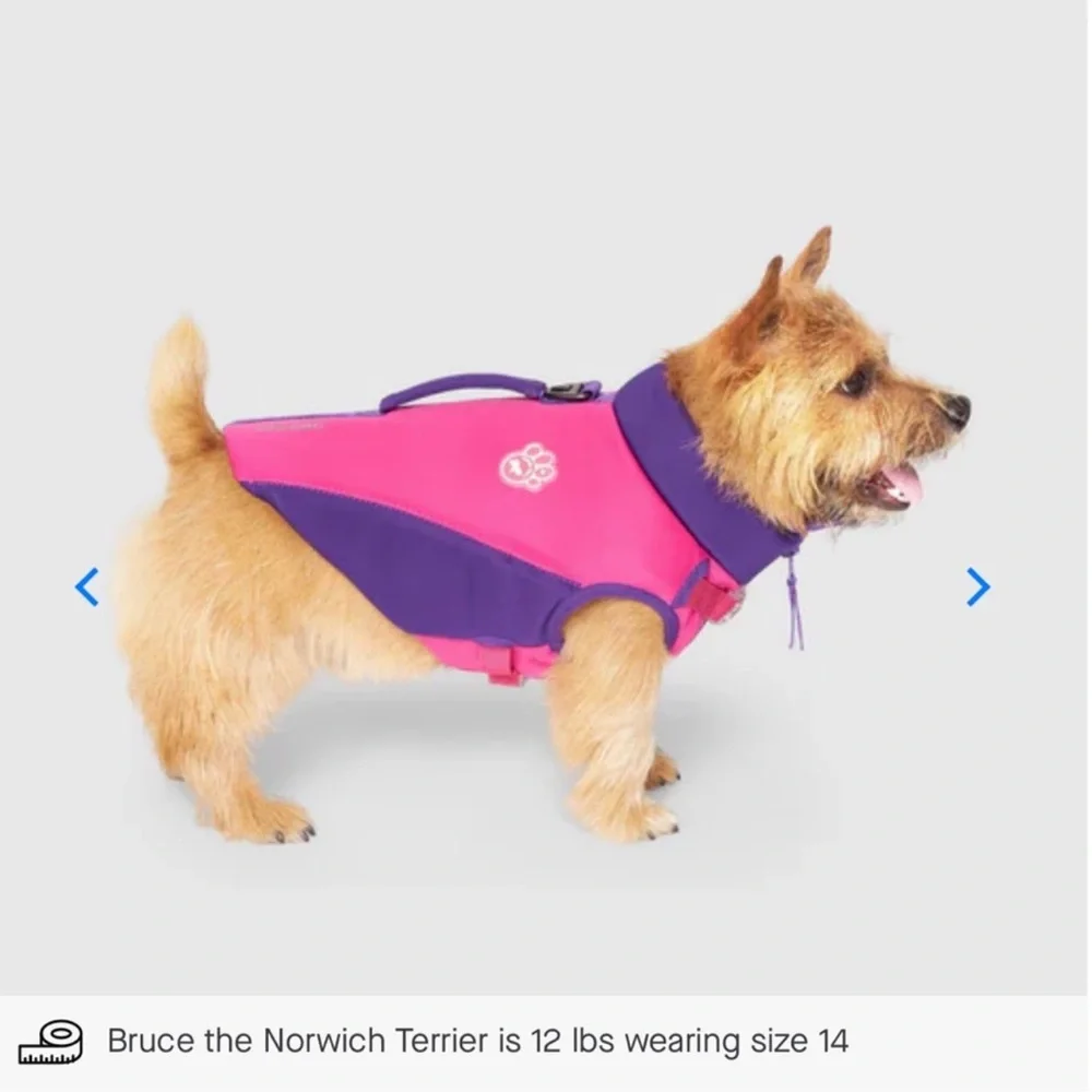 Canada Pooch canada pooch