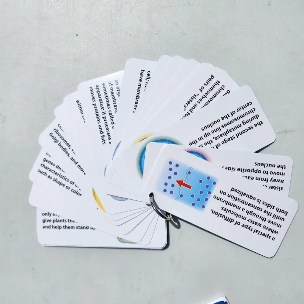Lakeshore cells organisms
