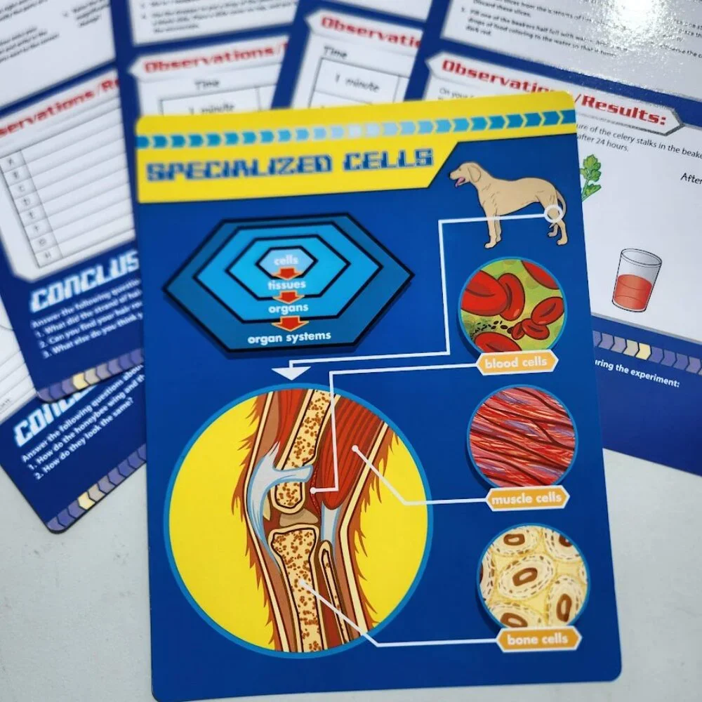 Lakeshore cells organisms