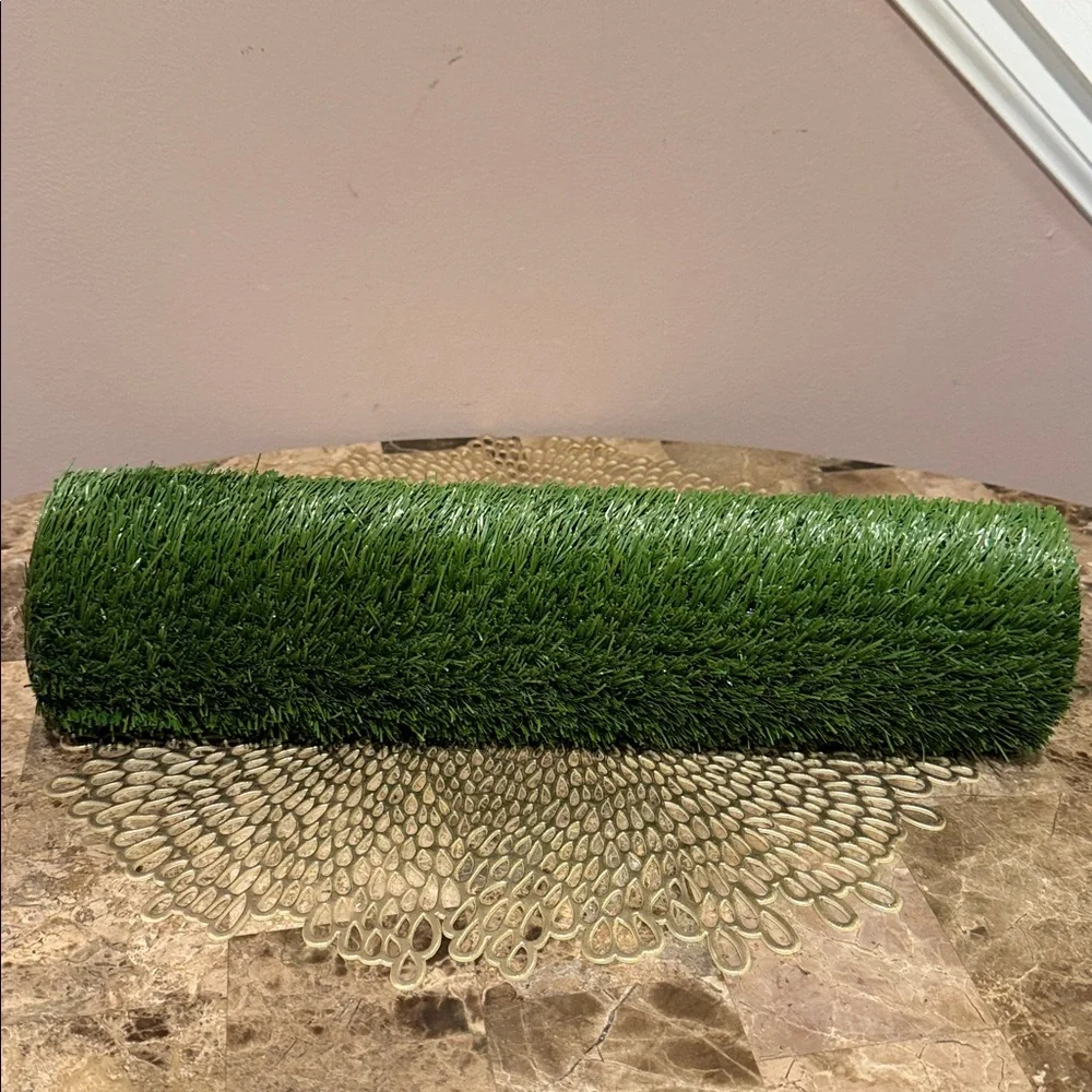 PoochPad new indoor