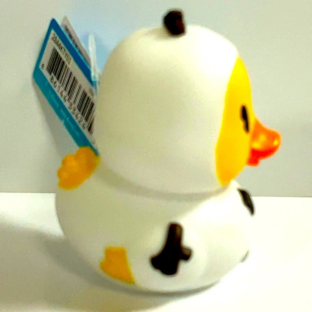 Disney brand new