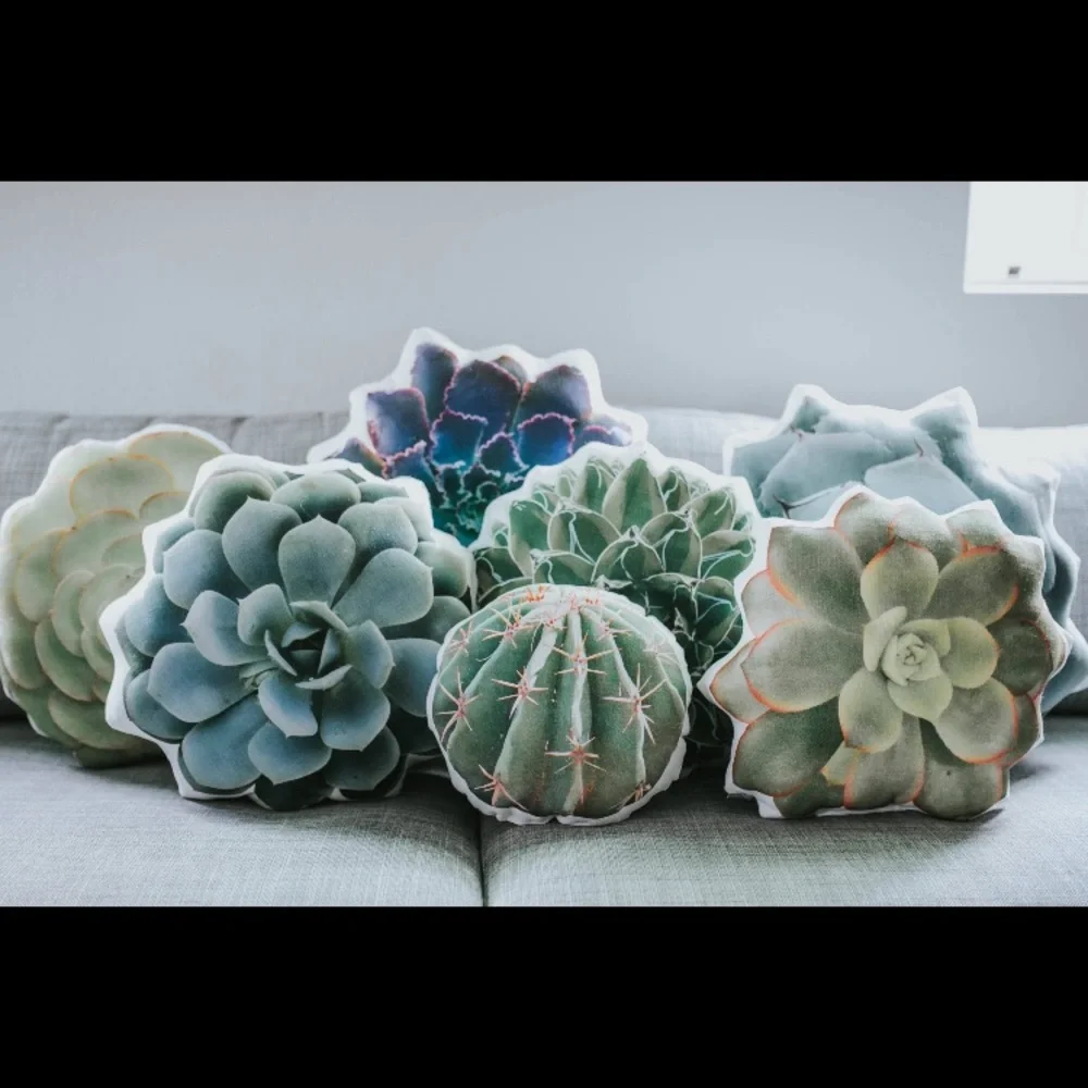 Wild Luxe beautiful agave