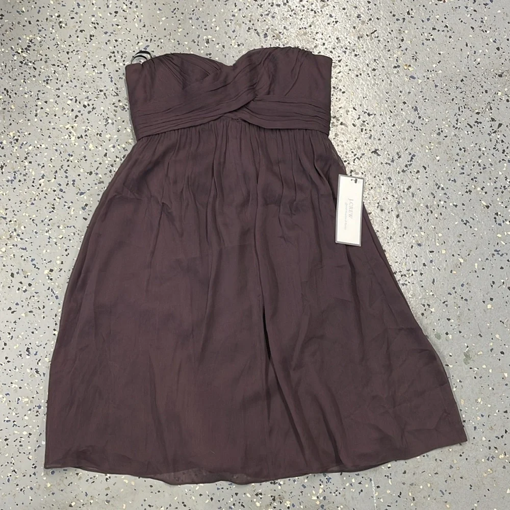 NWT J. Crew Taryn 100% Silk Chiffon Mini Dress Size 4