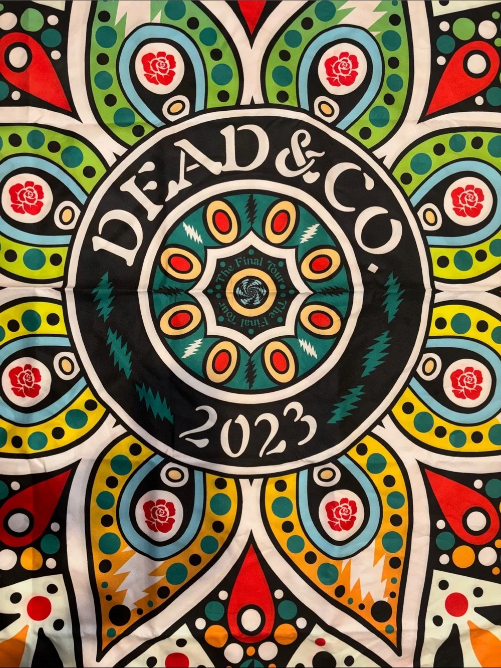 Dead & Co. new never