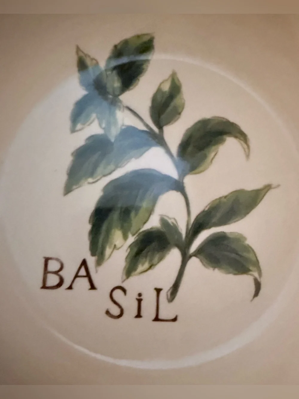 Williams Sonoma rare set